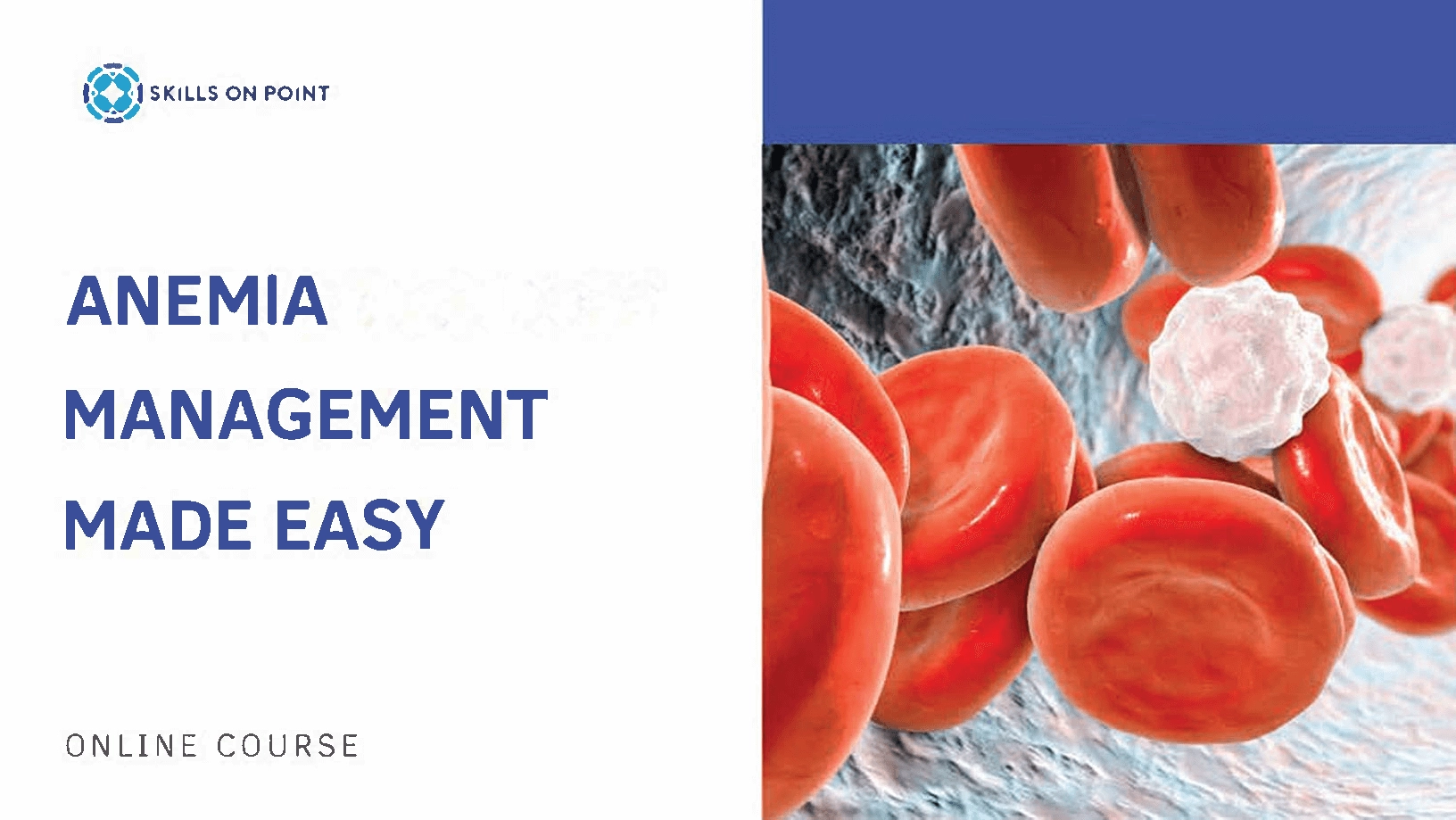 anemia management made easy - online course, EKG interpretation, PCCN certification