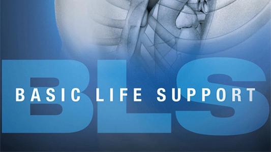 Basic Life Support by AED Essentials - Online CME Course, EKG interpretation, PCCN certification