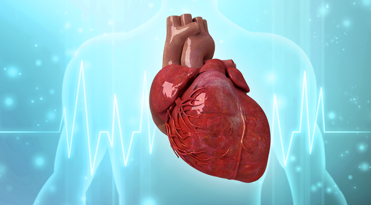 Cardiac Boot Camp - Skills On Point Affiliate Course, EKG interpretation, PCCN certification