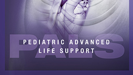 AHA Pediatric Advanced Life Support by AED Essentials - Online CEU Courses, EKG interpretation, PCCN certification