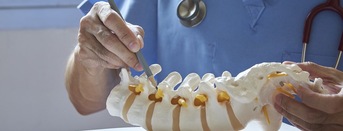 lumbar vertebra model - orthopedic surgeon, EKG interpretation, PCCN certification