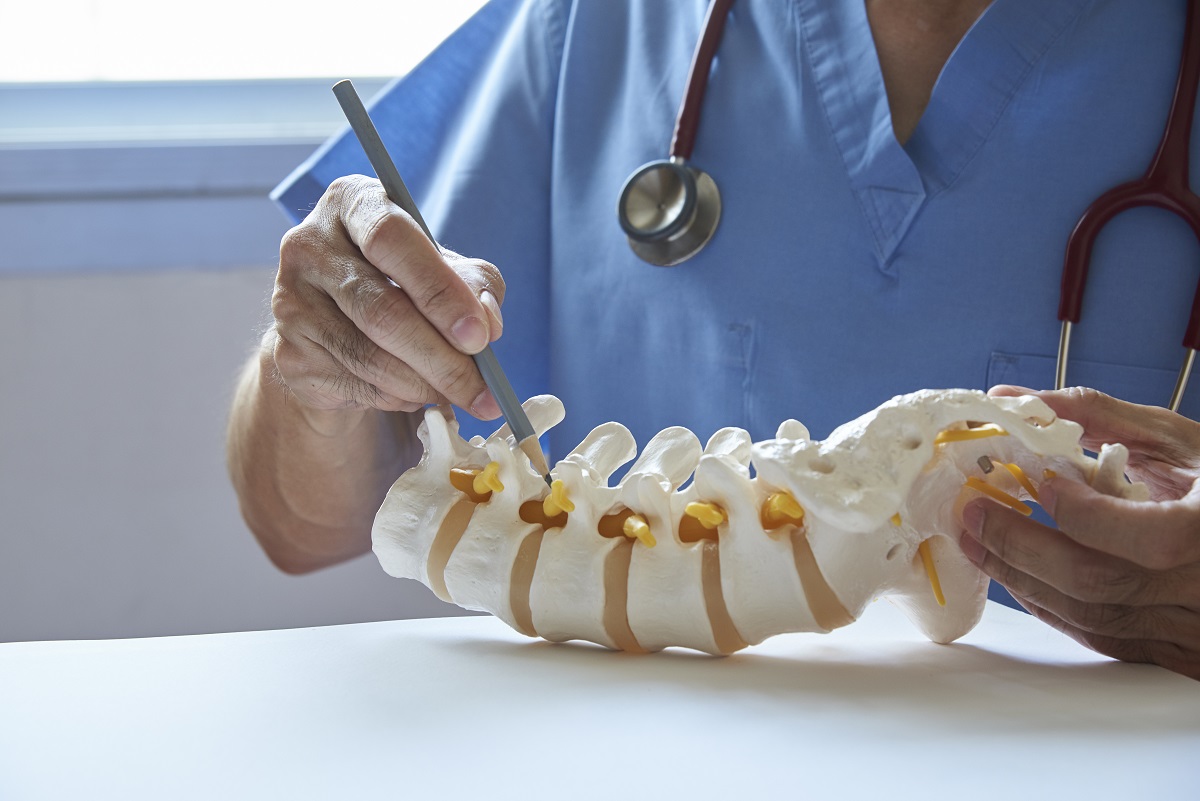 lumbar vertebra model - orthopedic surgeon, EKG interpretation, PCCN certification