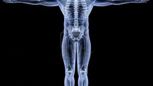 x-ray bundle, EKG interpretation, PCCN certification